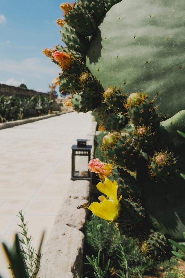 Masseria Paralupi Bed and Breakfast Lecce Esterno foto